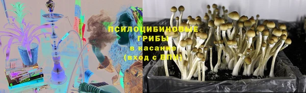 бутират Белокуриха