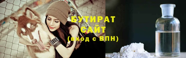 молекула духа Богданович