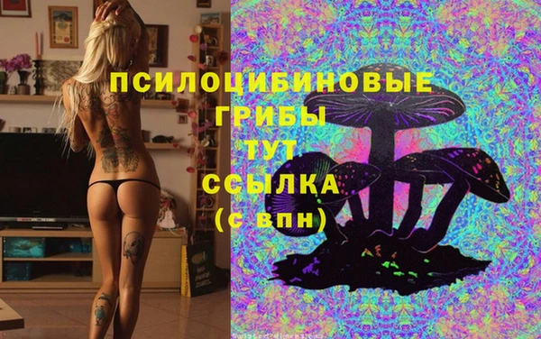 наркотики Богородицк