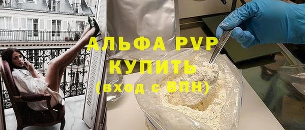 молекула духа Богданович