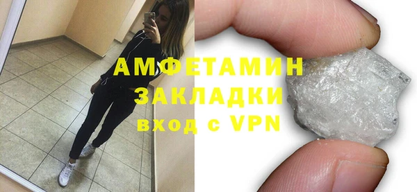молекула духа Богданович