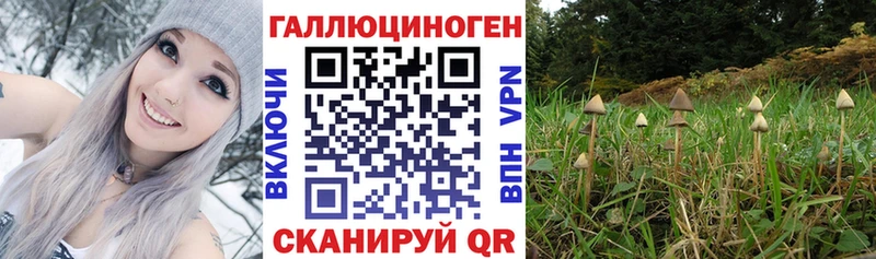 наркота  Луховицы  kraken tor  Псилоцибиновые грибы Magic Shrooms 